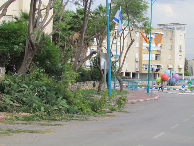 צילום:עמיעד טאוב