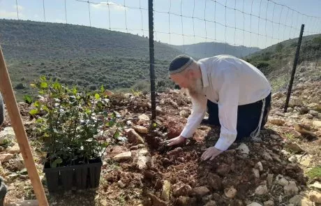 ממשיכים בדרכיה: חבריה לסניף בני עקיבא של רינה שנרב הי”ד ובני משפחתה נטעו חורשת עצים לזכרה