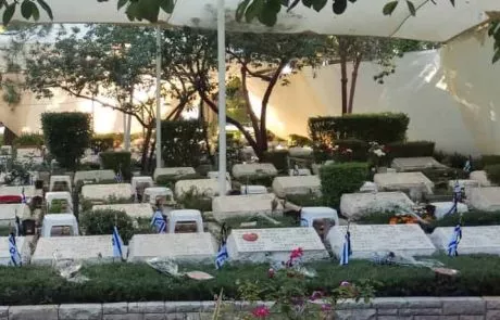 למה ברושים? / טור מיוחד ליום הזיכרון