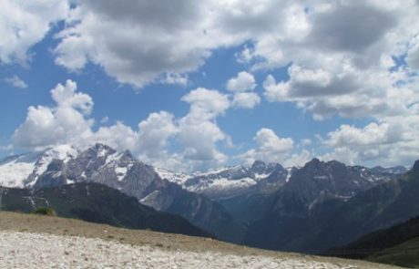 דעה:”די לשיימינג ולסערות הציבוריות שגוועות מהר יותר מצמחוני בשווארמה”